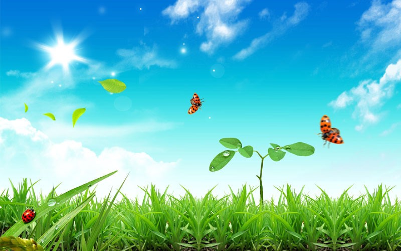 ok网站 欧交易所app最新版下载